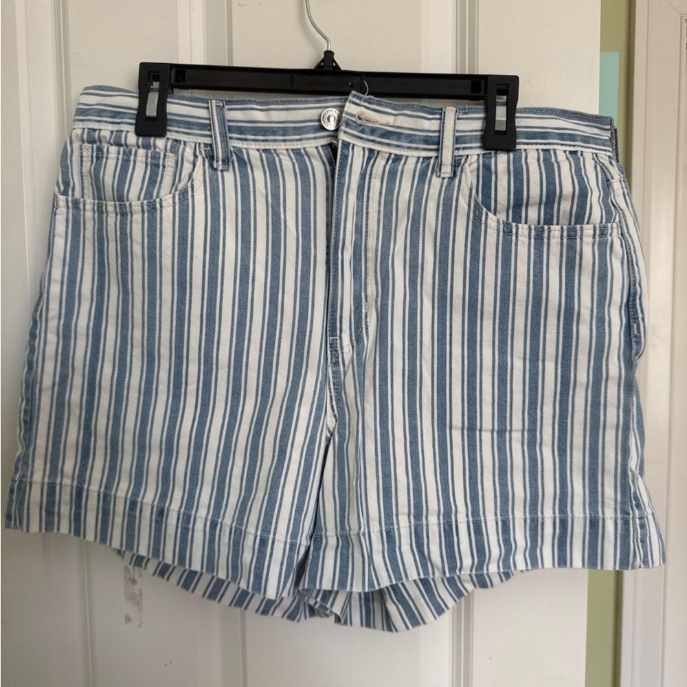 American eagle Striped Blue and White Women Shorts